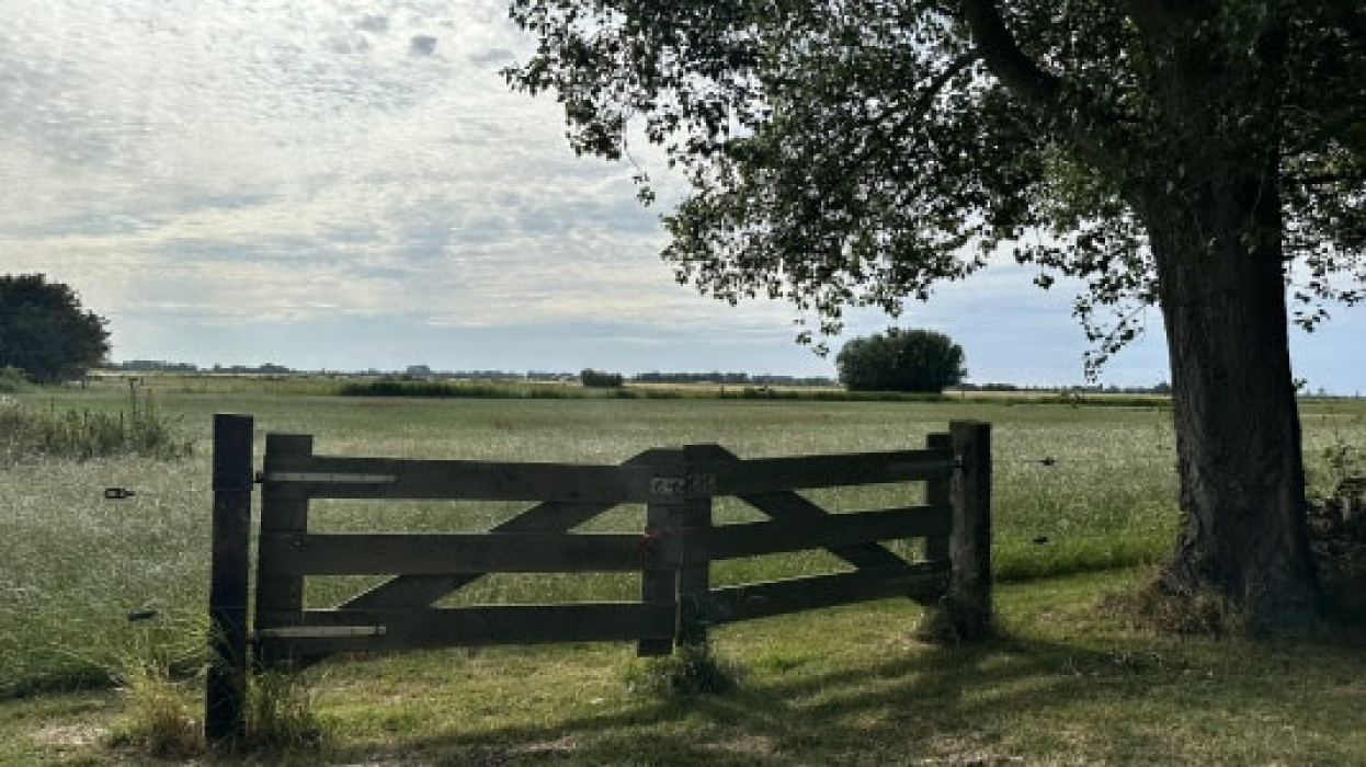 Het huidige uitbreidingsgebied ten noorden van Sint Laurens