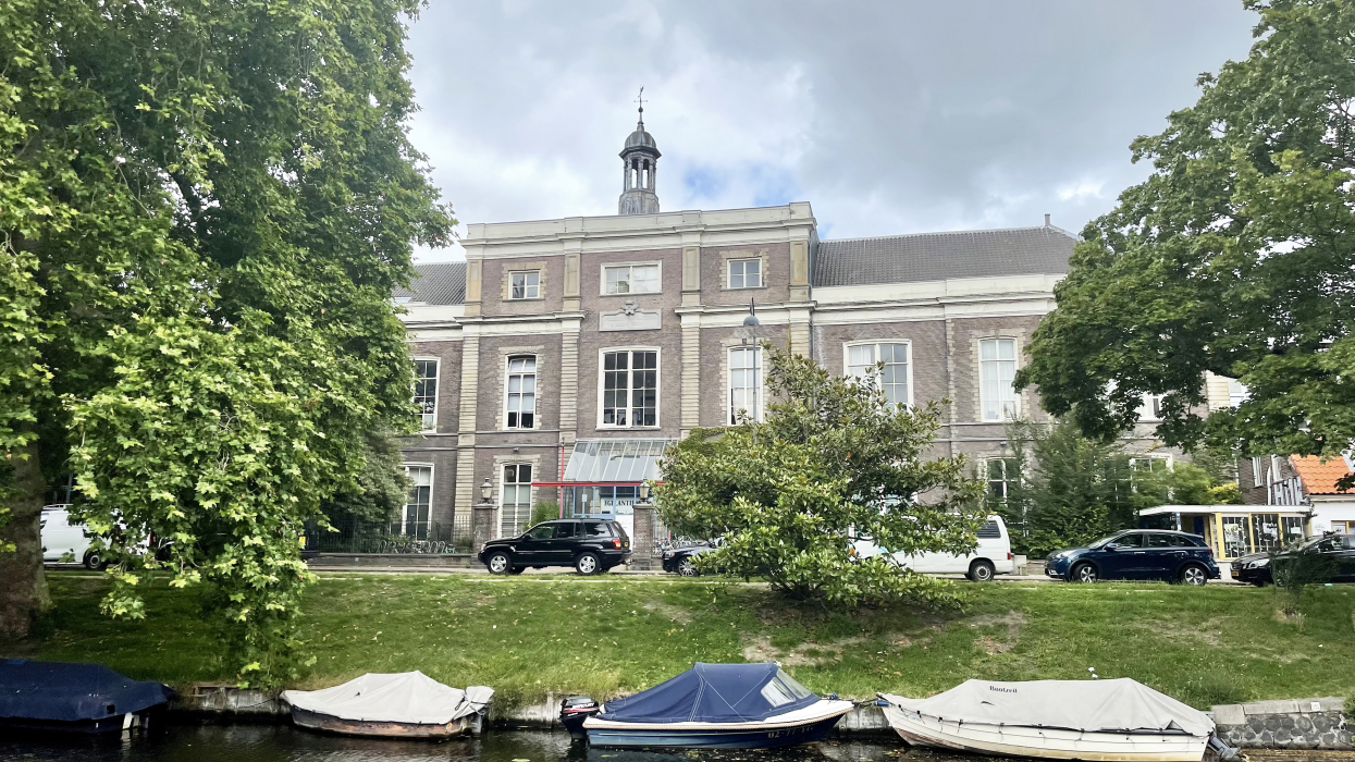 Egelantier in Haarlem