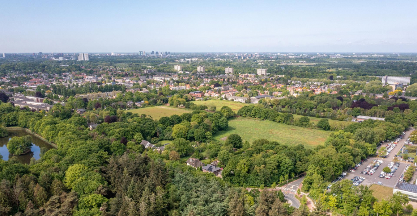 Schapenweide te Bilthoven