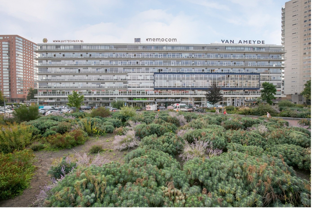 Verzamelgebouw Zuid aan de Strevelsweg 700 in Rotterdam