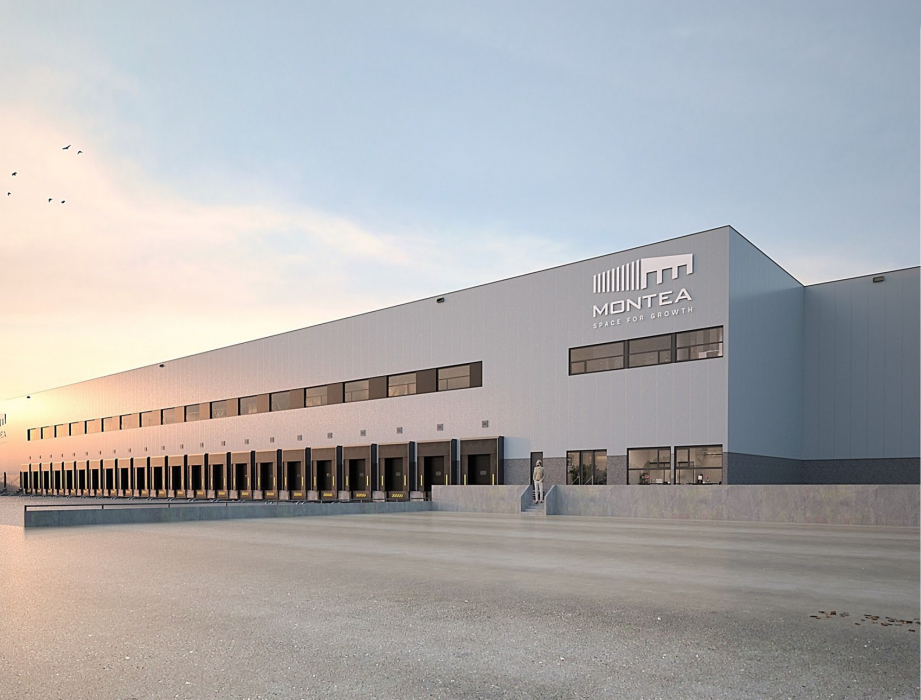 Montea