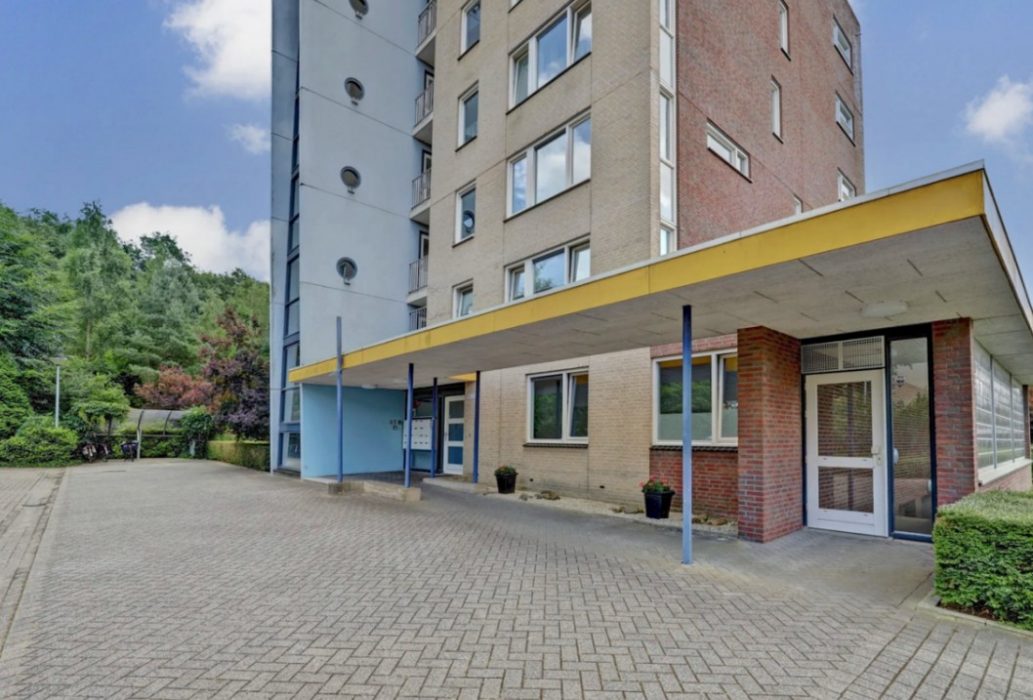 Veldzuring te Venlo