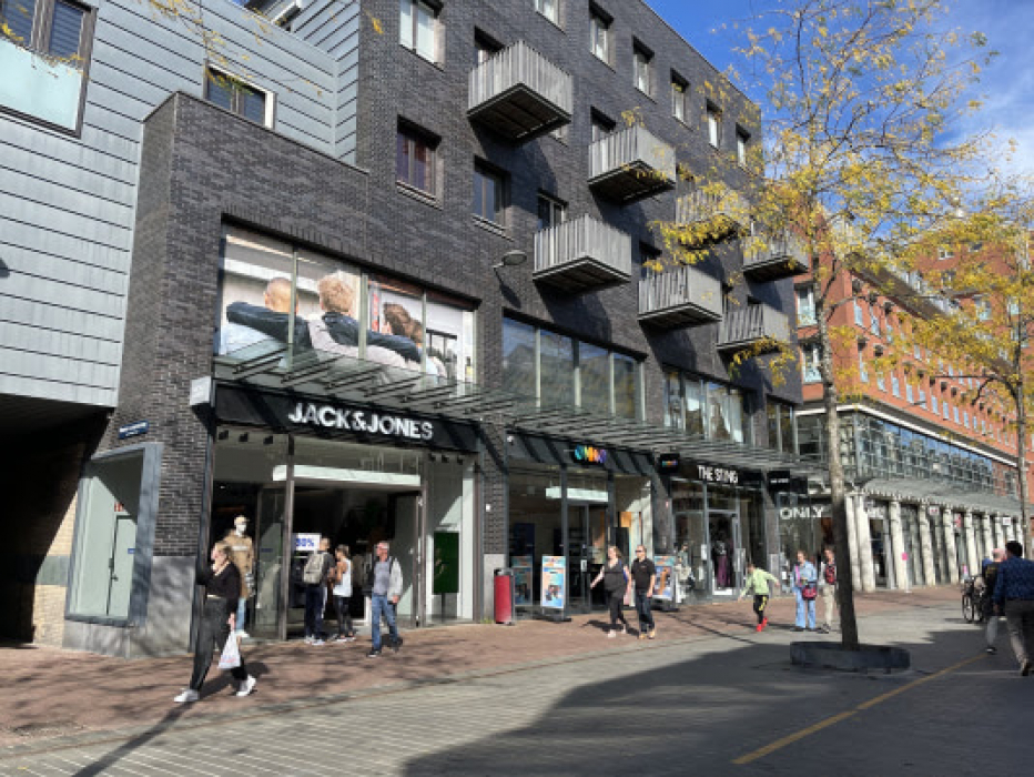 Sarisgang in Dordrecht