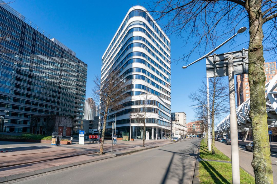 The Monarch in Den Haag