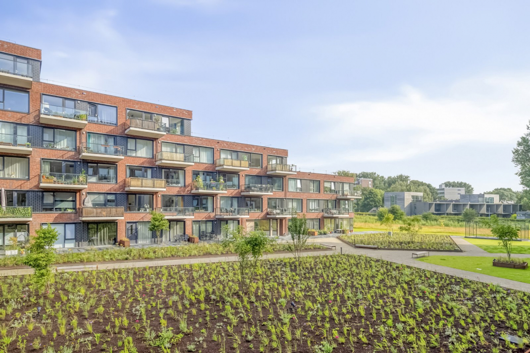 Woningcomplex Het Ommeland in Groningen