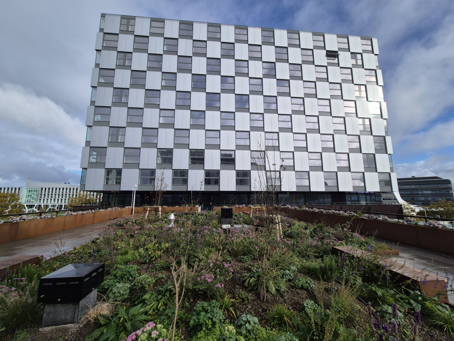 MORE5 aan de Lise Meitnerhof 7 in Leiden