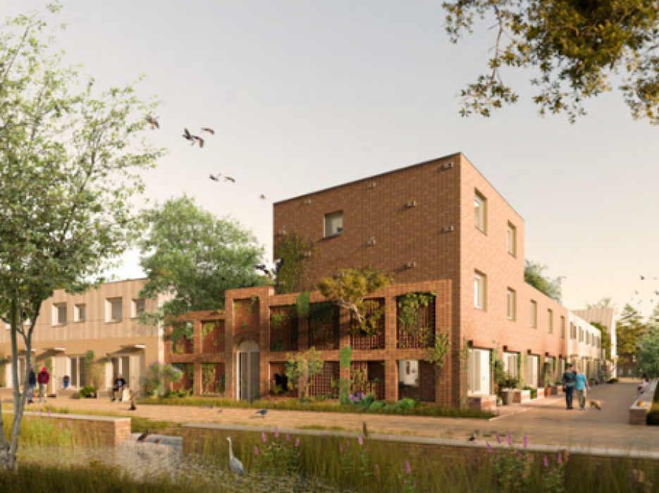 Biobased en natuurinclusief bouwen in Leeuwarden Nieuw Oud Oost