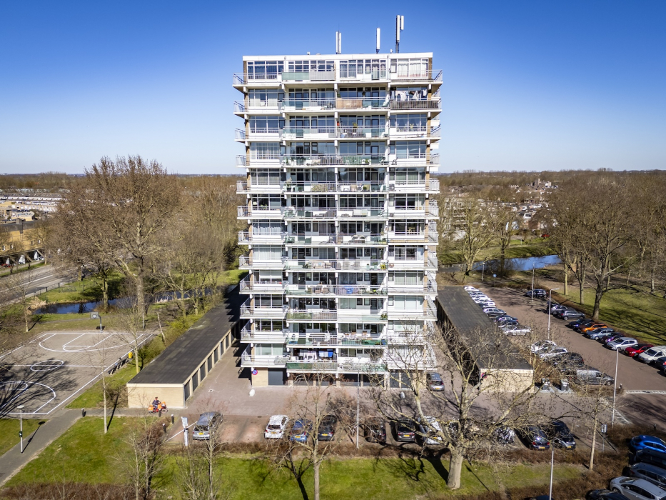 Lupinesingel in Alphen aan de Rijn.